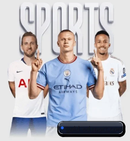 gold-odsport.com APP